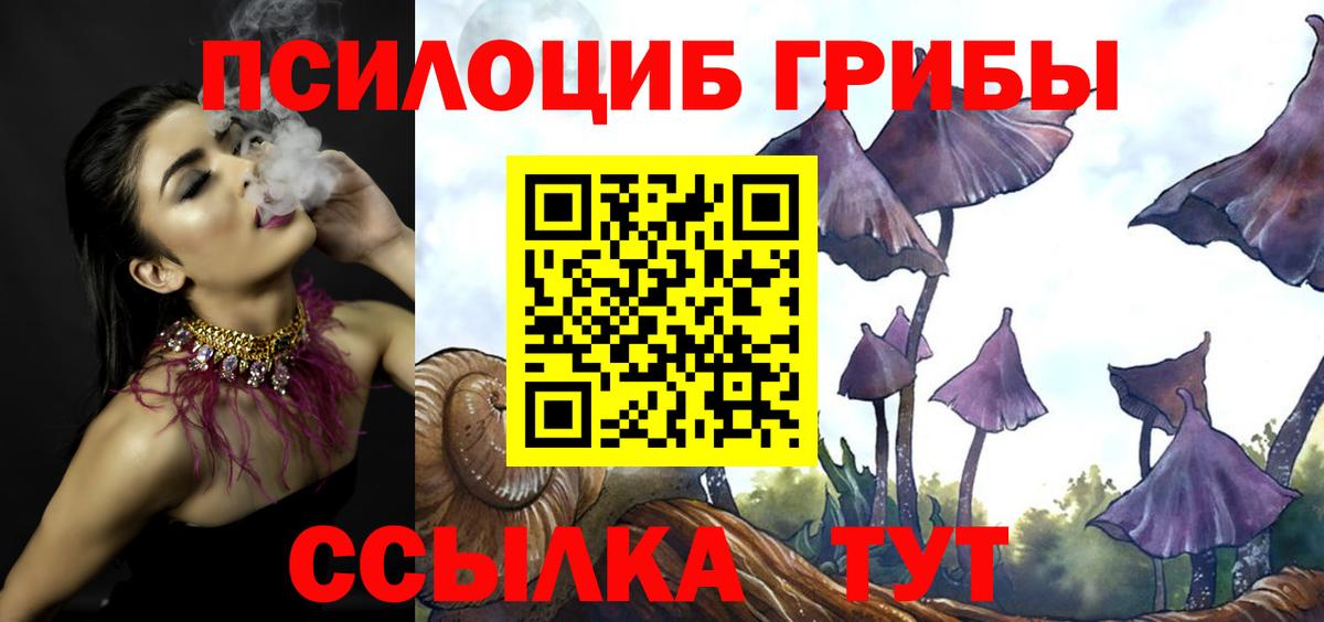Галлюциногенные грибы ЛСД Ревда