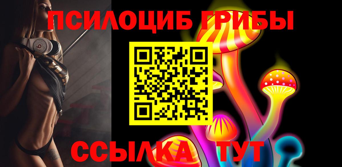 Галлюциногенные грибы MAGIC MUSHROOMS  Вход с VPN  Псилоцибиновые грибы мицелий  Ревда 