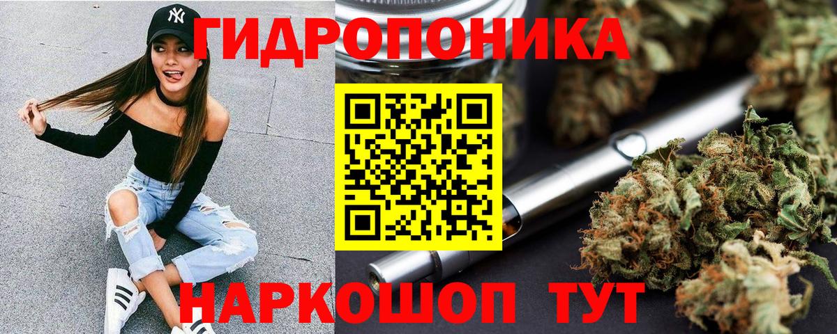 Бошки Шишки сатива Ревда
